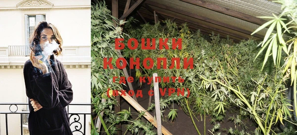 PSILOCYBIN Няндома